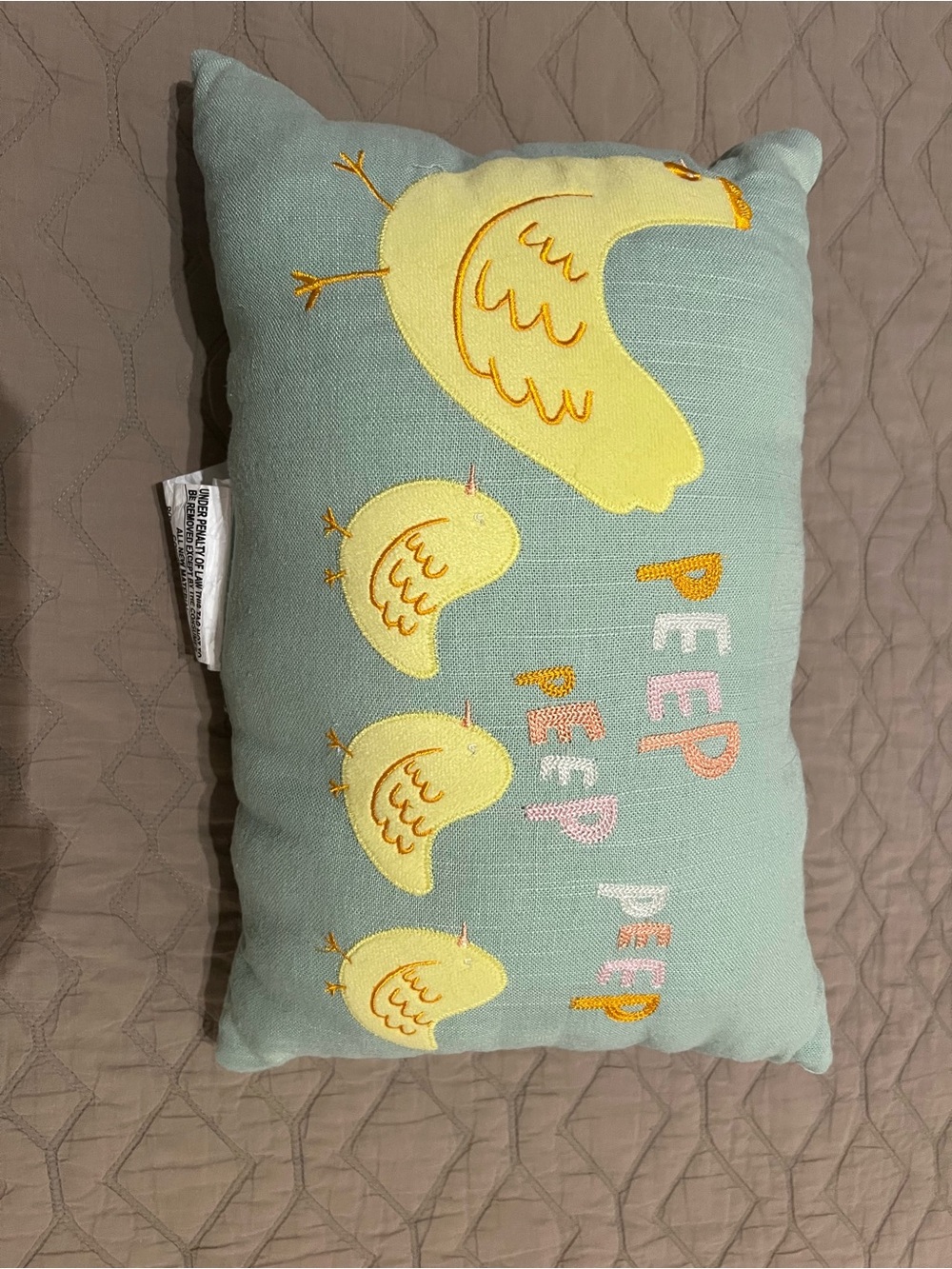 Mint Throw Pillow with Yellow Chick Embroidery